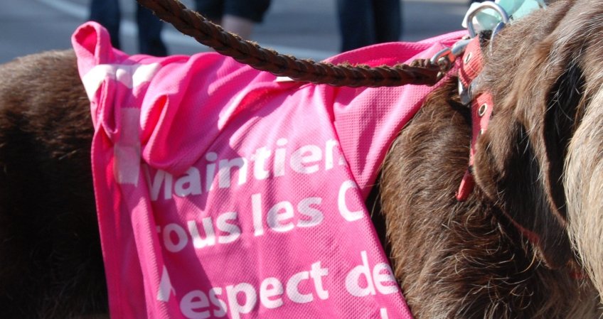 Le préfet de Seine Saint-Denis accentue la répression et refuse le dialogue